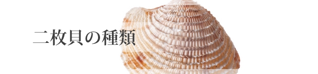 二枚貝の種類 貝の図鑑